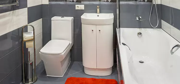 Hansgrohe Shaving Mirror Coral Springs